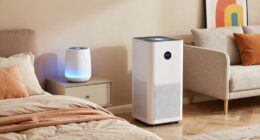 air quality needs differ