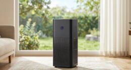 overpriced air purifier feature