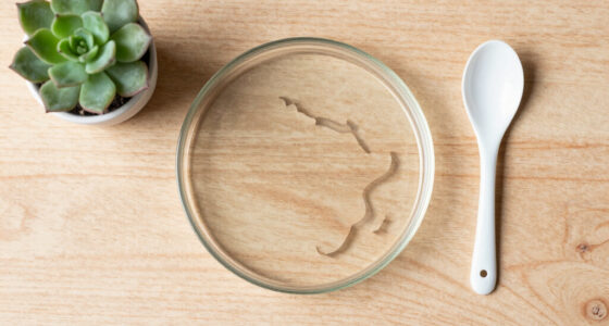 Africa Suspension Culture Plate - Market Analysis, Forecast, Size, Trends and Insights